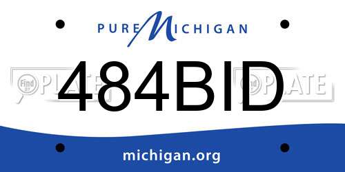 484BID Michigan License Plate