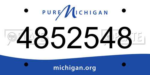 4852548 Michigan License Plate
