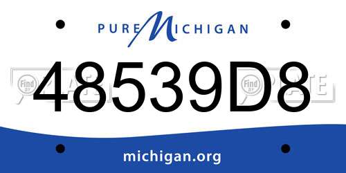 48539D8 Michigan License Plate