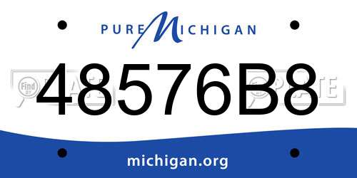 48576B8 Michigan License Plate