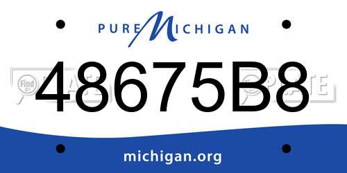 48675B8 Michigan License Plate