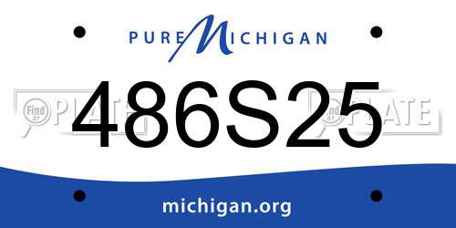 486S25 Michigan License Plate