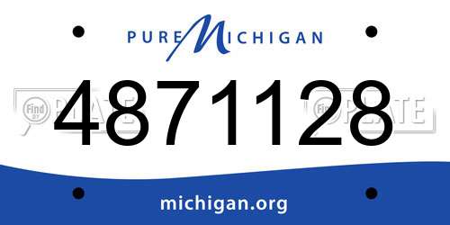 4871128 Michigan License Plate