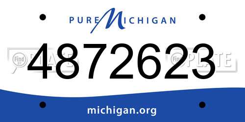 4872623 Michigan License Plate
