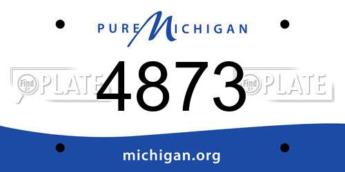 4873 Michigan License Plate