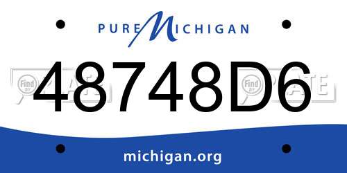 48748D6 Michigan License Plate