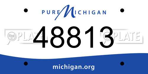 48813 Michigan License Plate