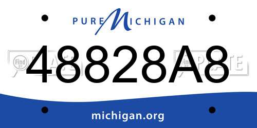 48828A8 Michigan License Plate