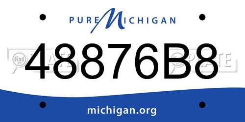 48876B8 Michigan License Plate