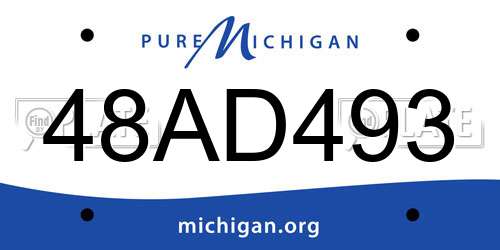 48AD493 Michigan License Plate