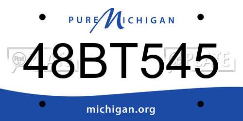 48BT545 Michigan License Plate