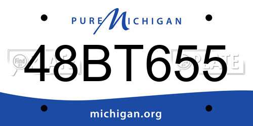 48BT655 Michigan License Plate