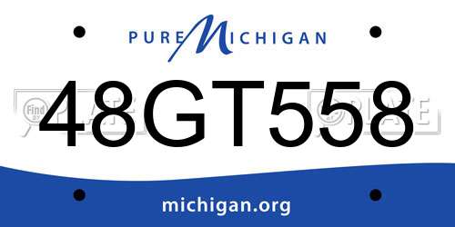 48GT558 Michigan License Plate