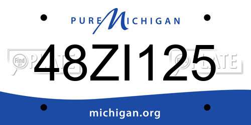 48ZI125 Michigan License Plate