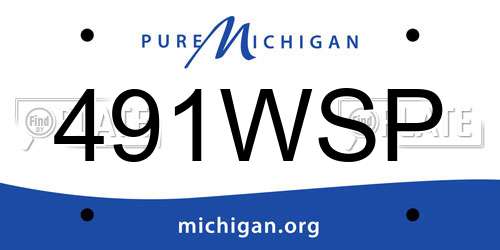 491WSP Michigan License Plate