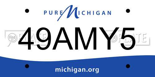 49AMY5 Michigan License Plate