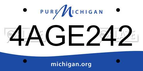 4AGE242 Michigan License Plate