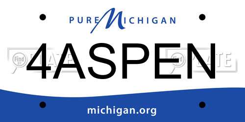 4ASPEN Michigan License Plate