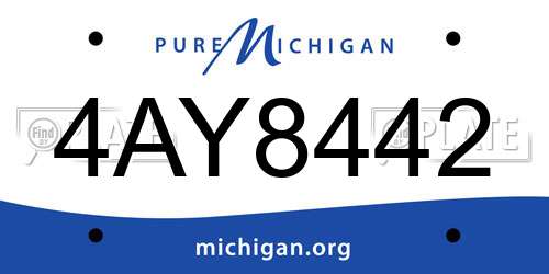 4AY8442 Michigan License Plate
