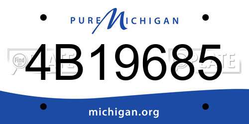 4B19685 Michigan License Plate