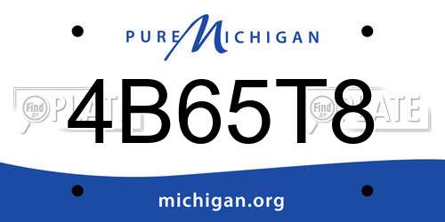 4B65T8 Michigan License Plate