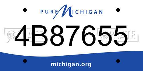 4B87655 Michigan License Plate