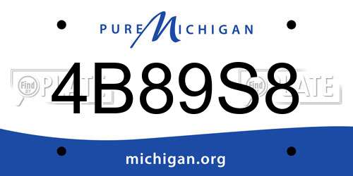 4B89S8 Michigan License Plate
