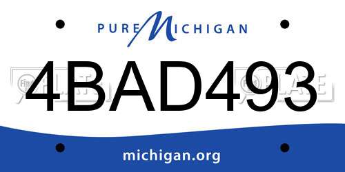 4BAD493 Michigan License Plate