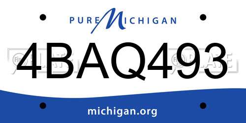 4BAQ493 Michigan License Plate
