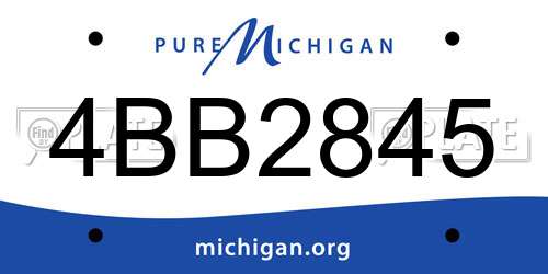 4BB2845 Michigan License Plate