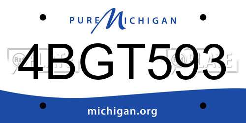 4BGT593 Michigan License Plate