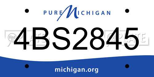 4BS2845 Michigan License Plate