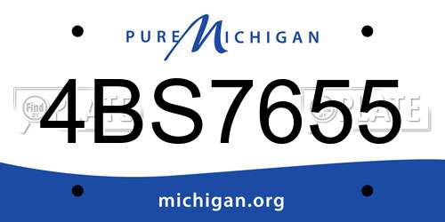 4BS7655 Michigan License Plate