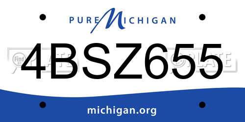 4BSZ655 Michigan License Plate