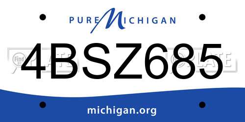 4BSZ685 Michigan License Plate