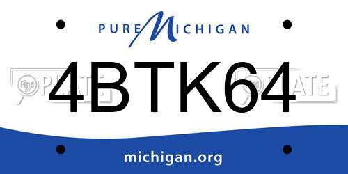4BTK64 Michigan License Plate