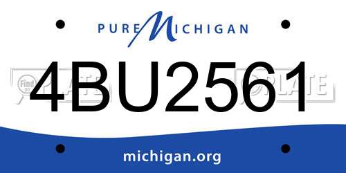 4BU2561 Michigan License Plate
