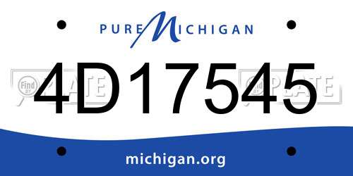 4D17545 Michigan License Plate