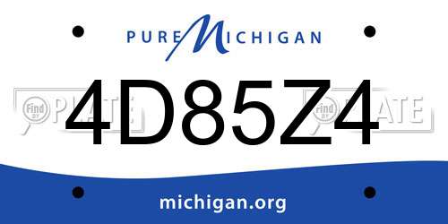 4D85Z4 Michigan License Plate