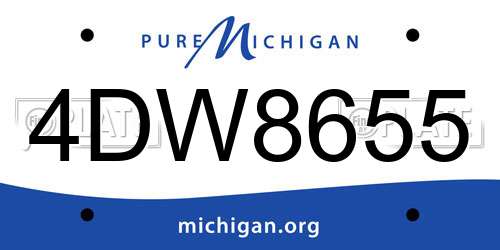 4DW8655 Michigan License Plate