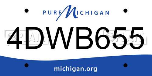 4DWB655 Michigan License Plate