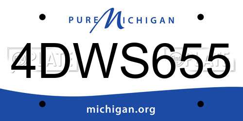 4DWS655 Michigan License Plate