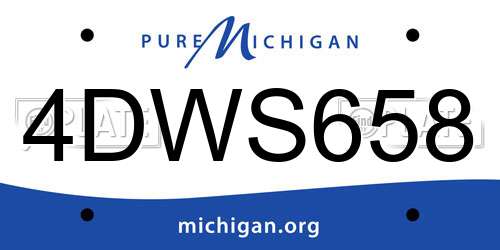 4DWS658 Michigan License Plate