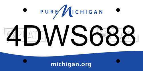 4DWS688 Michigan License Plate