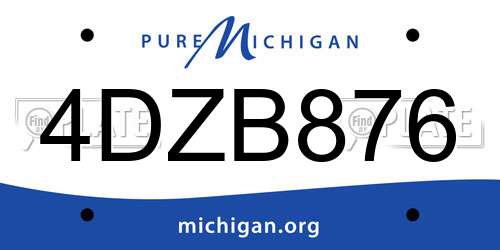 4DZB876 Michigan License Plate