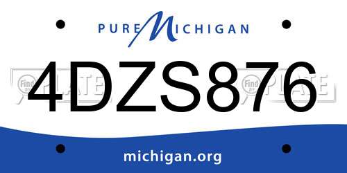 4DZS876 Michigan License Plate