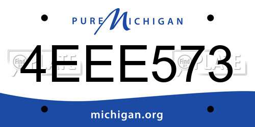 4EEE573 Michigan License Plate