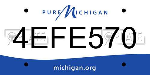 4EFE570 Michigan License Plate