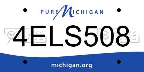 4ELS508 Michigan License Plate