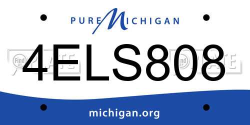 4ELS808 Michigan License Plate